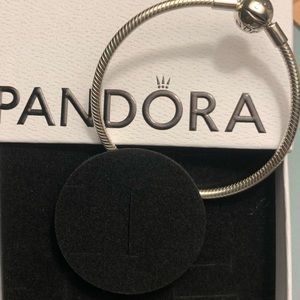 Pandora Moments 7 inch long Snake Chain Bracelet with barrel clasp.